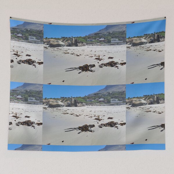 Item preview, Camps bay seaweed  designed and sold by Weather gifts .