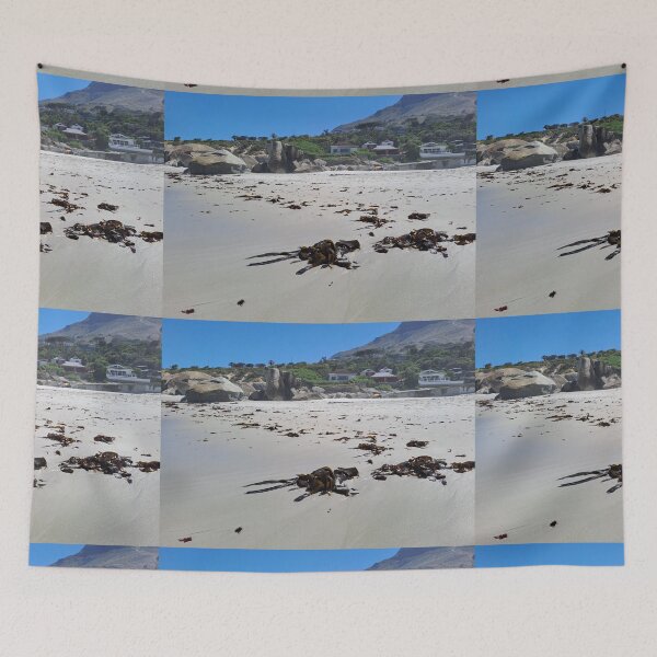 Item preview, Camps bay beach houses  designed and sold by Weather gifts .