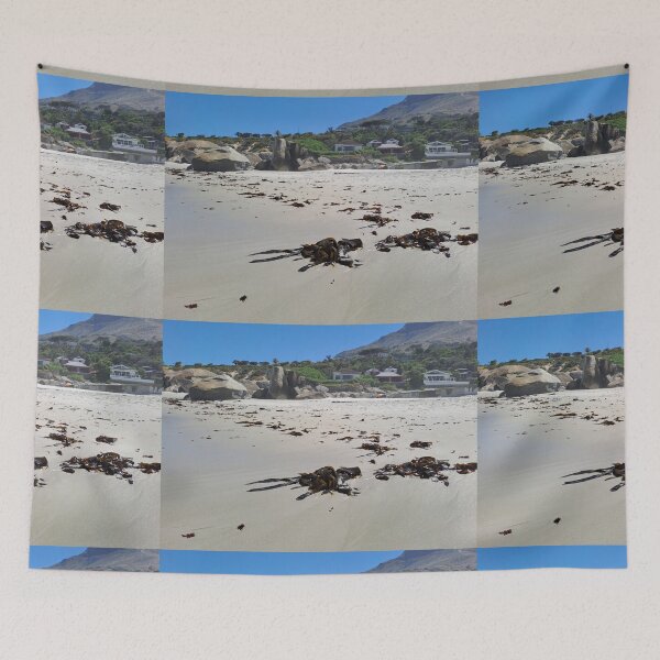 Item preview, Camps bay beach shore designed and sold by Weather gifts .