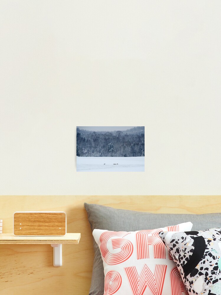 Thumbnail 1 of 3, Photographic Print, Winter field with deer designed and sold by Bjørnar Haveland.