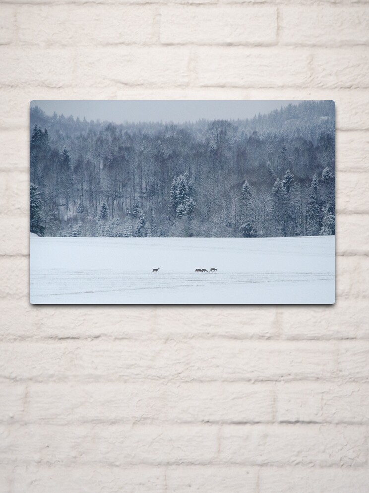 Thumbnail 2 of 4, Metal Print, Winter field with deer designed and sold by Bjørnar Haveland.