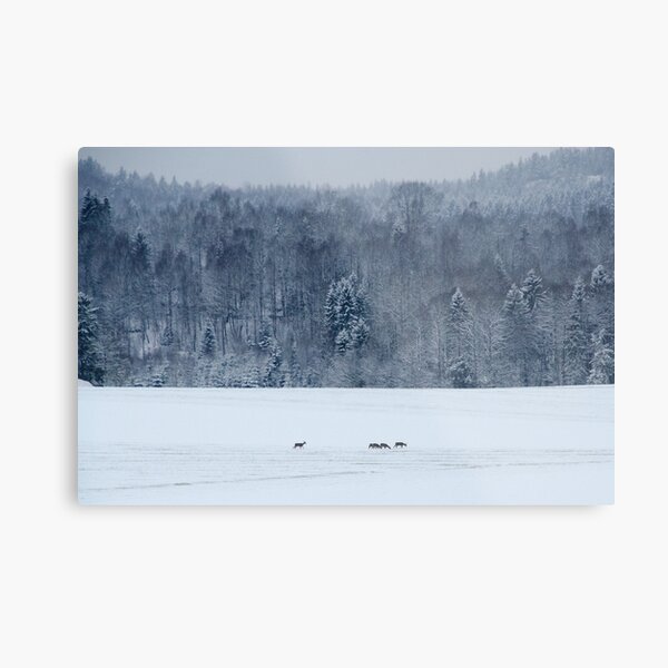 Metal Print