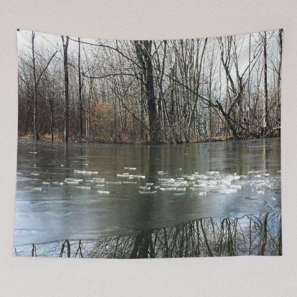 Item preview, Frozen Lake with Winter Tree Reflections designed and sold by Nalinne Jones.