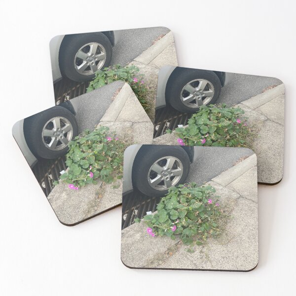 Item preview, Morning Glory Sidewalk Crack designed and sold by Baroque894.