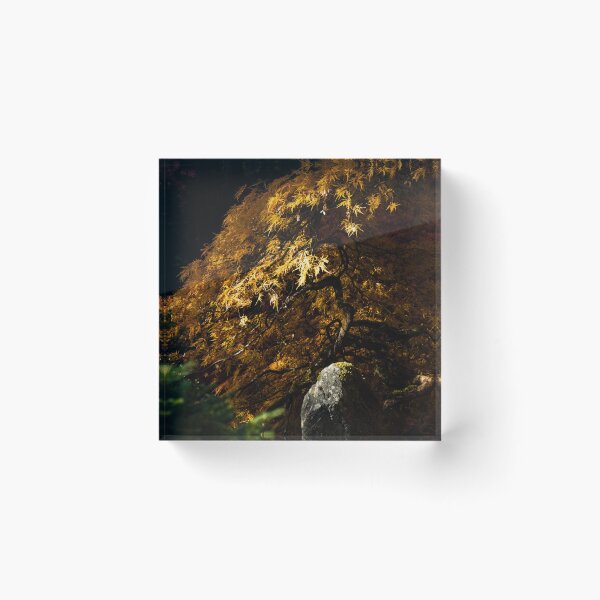 Item preview, Fall Maple in Butchart Gardens designed and sold by JenneRPhoto.
