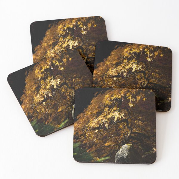 Item preview, Fall Maple in Butchart Gardens designed and sold by JenneRPhoto.