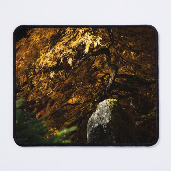 Item preview, Fall Maple in Butchart Gardens designed and sold by JenneRPhoto.