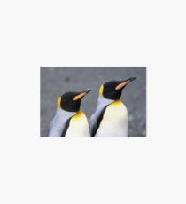 Penguin duo 1 Art Board