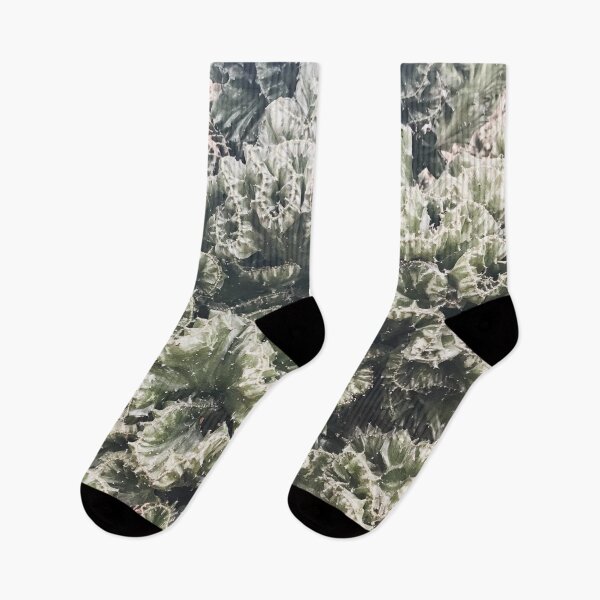 Item preview, Euphorbia Lactea Succulent | Plants Nature Photography designed and sold by Jacqueline Elise.