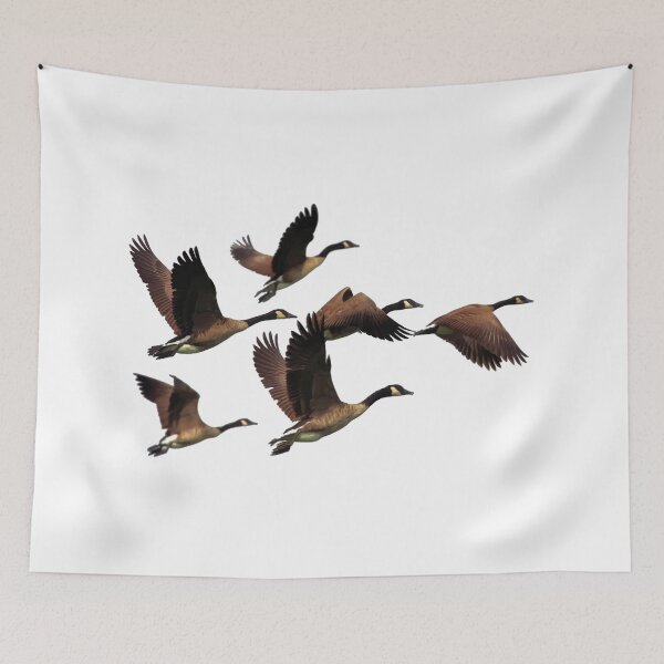 Item preview, Fly like a bird designed and sold by bernd49.