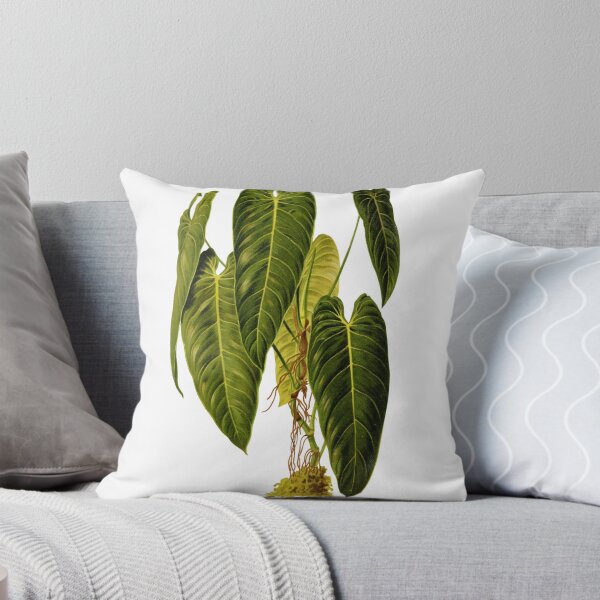 Item preview, philodendron andreanum Botanical Drawing of large green tropical plant designed and sold by EveryDayDabble.