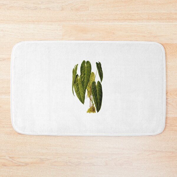 Item preview, philodendron andreanum Botanical Drawing of large green tropical plant designed and sold by EveryDayDabble.