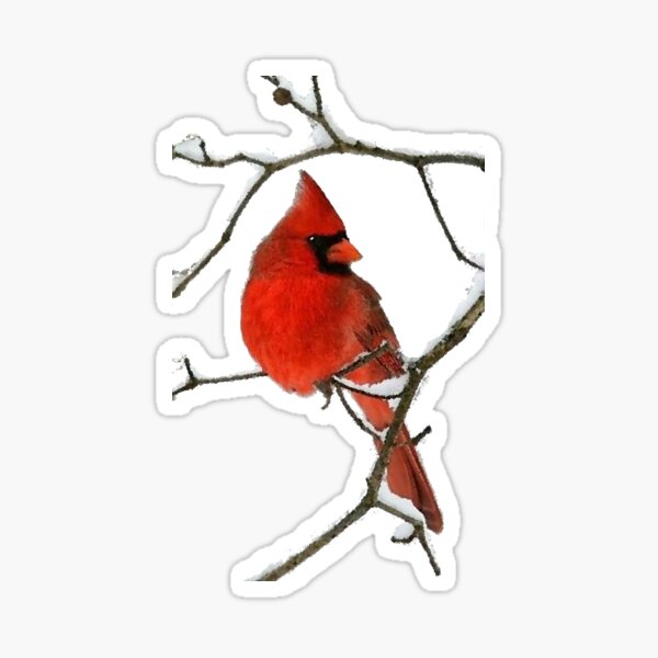  Cardinals Bird Stickers Fanny Pack for Women Men