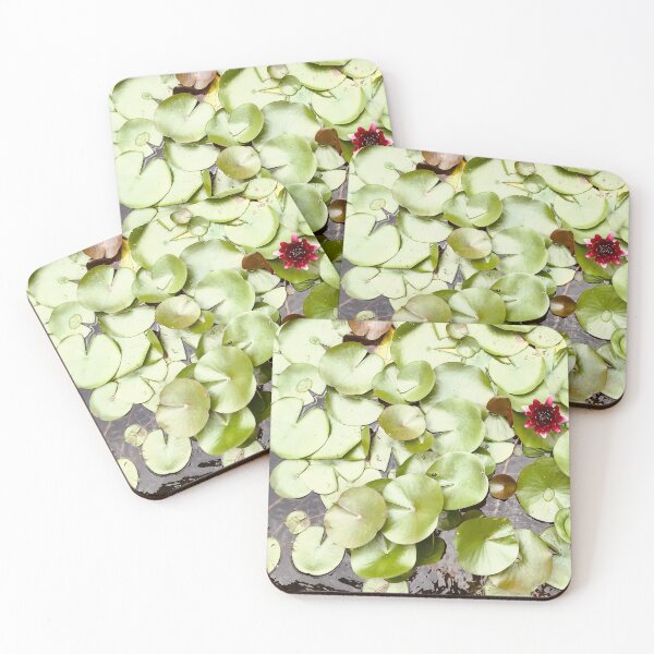 Item preview, Lily Pads and Waterlillies | Plants Nature Photography designed and sold by Jacqueline Elise.