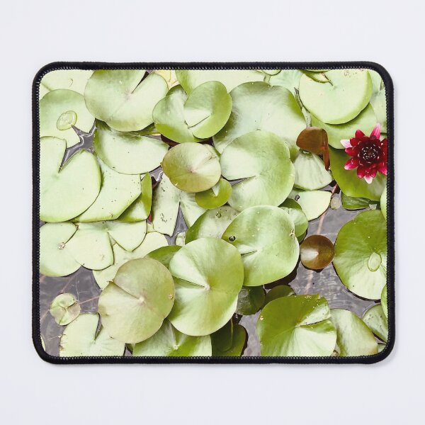 Item preview, Lily Pads and Waterlillies | Plants Nature Photography designed and sold by Jacqueline Elise.