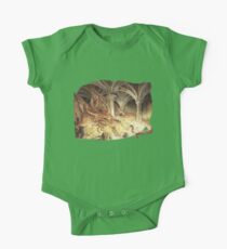 Bilbo and Smaug the Dragon One Piece - Short Sleeve