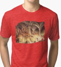 Bilbo and Smaug the Dragon Tri-blend T-Shirt