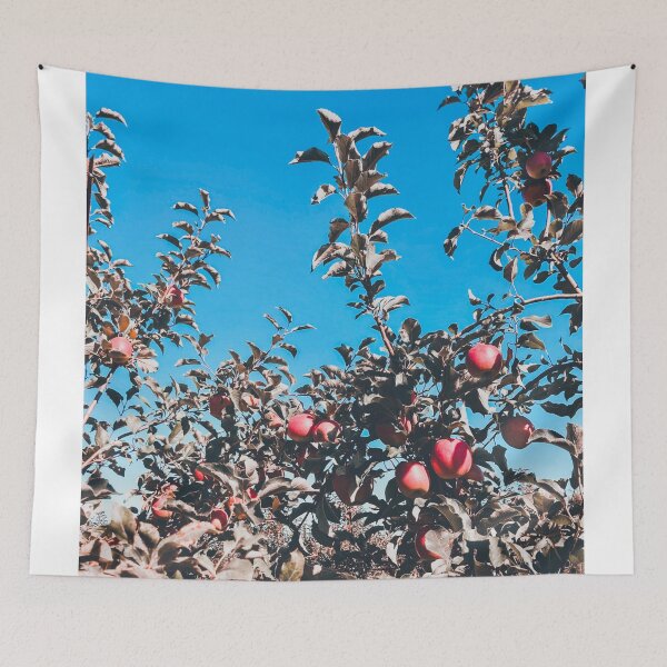 Item preview, Pink Lady Apple Tree | Nature Photography designed and sold by Jacqueline Elise.