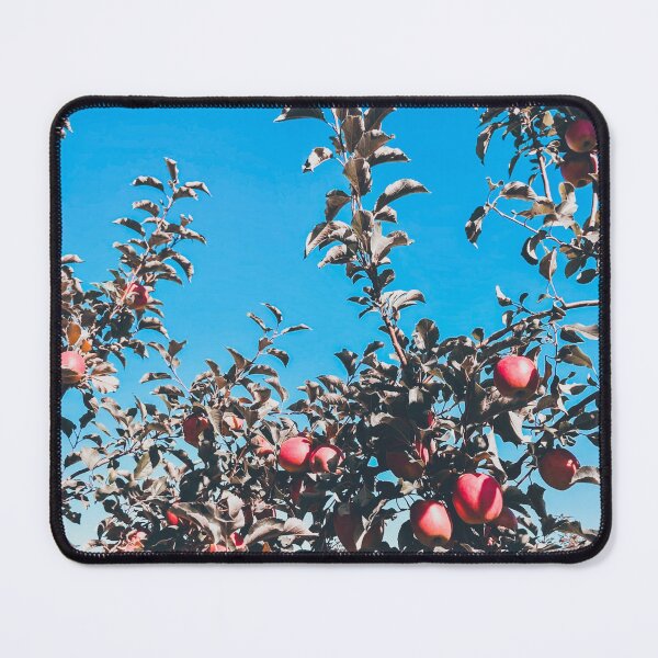 Item preview, Pink Lady Apple Tree | Nature Photography designed and sold by Jacqueline Elise.