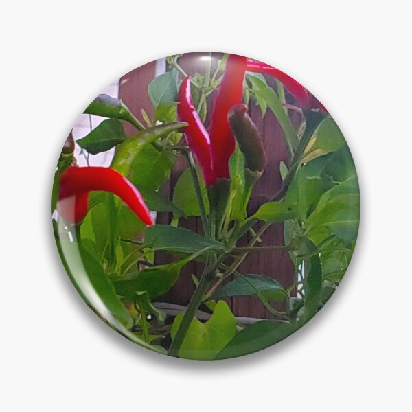 Item preview, Cayenne Peppers  designed and sold by etherealwonders.