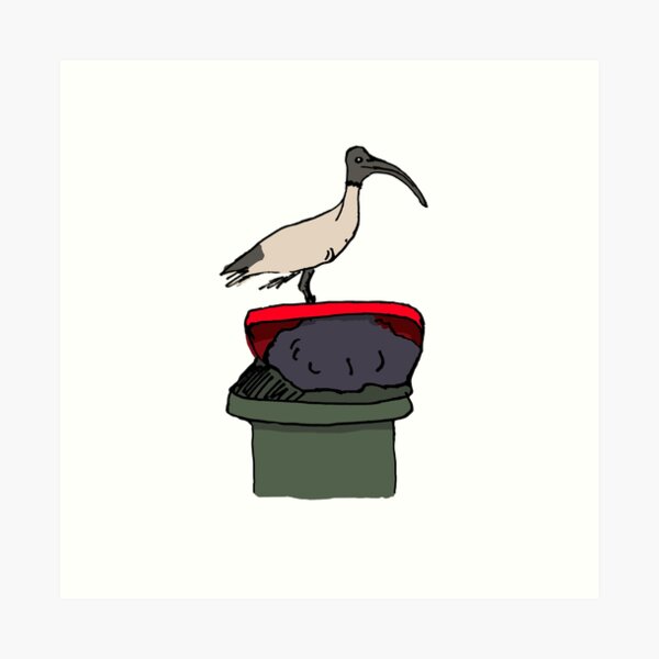 Bin Chicken Art Print