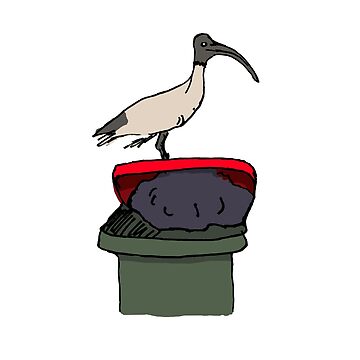 Artwork thumbnail, Bin Chicken by Luke Simshauser