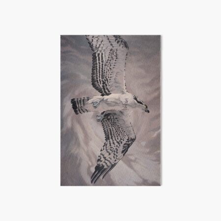 Osprey Art Board Print