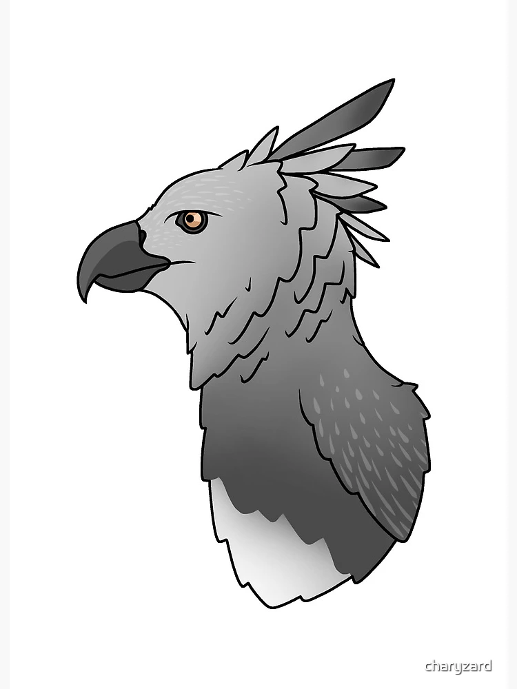 This digital drawing of an eagle-harpy eagle is a tribute to the majesty of  the