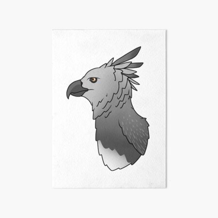 Harpy Eagles Art 