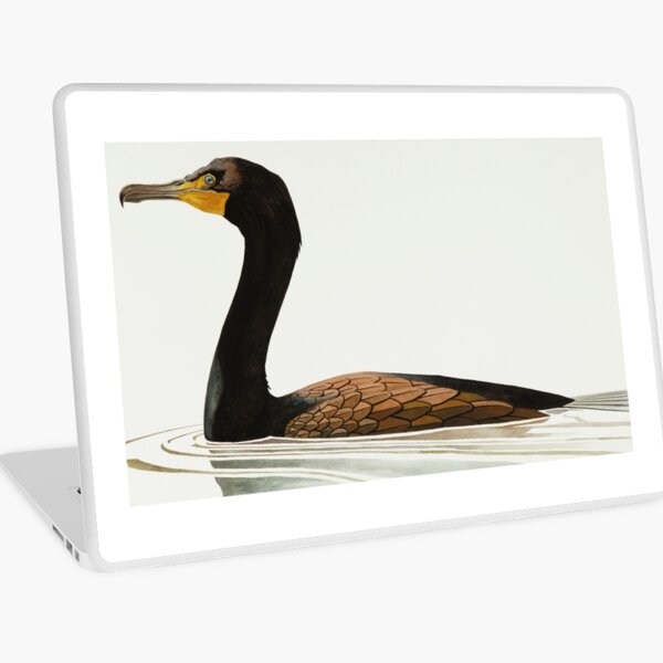 Cormorant study Laptop Skin