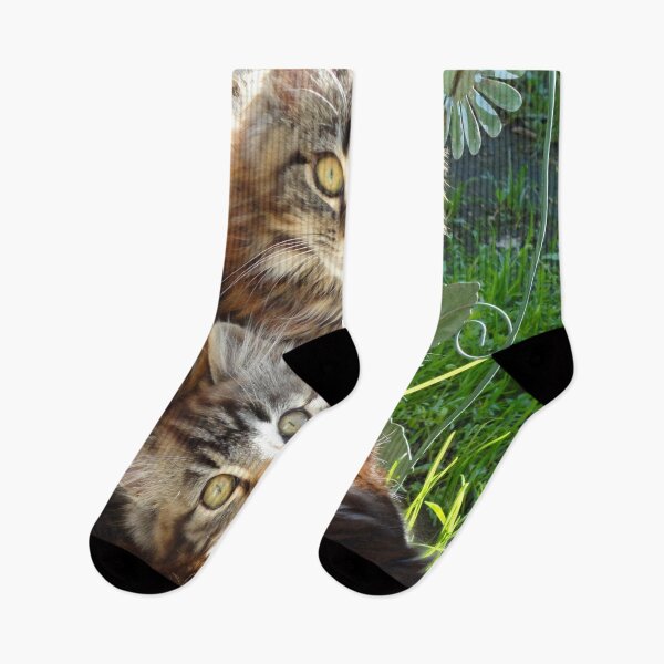 Item preview, ANIMALS #101 - Adorable Fluffy Twin Tiger-striped Kittens Relaxing designed and sold by DEL-Productions.