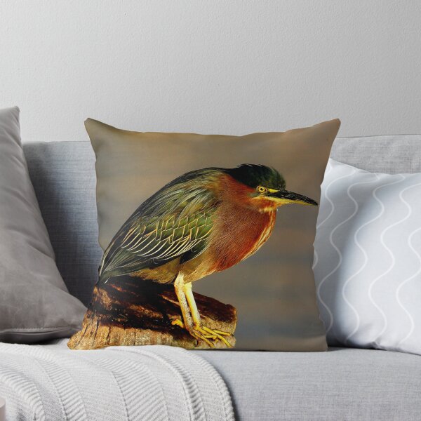 Item preview, Guatemala - Lago Atitlan, bird designed and sold by franck380.