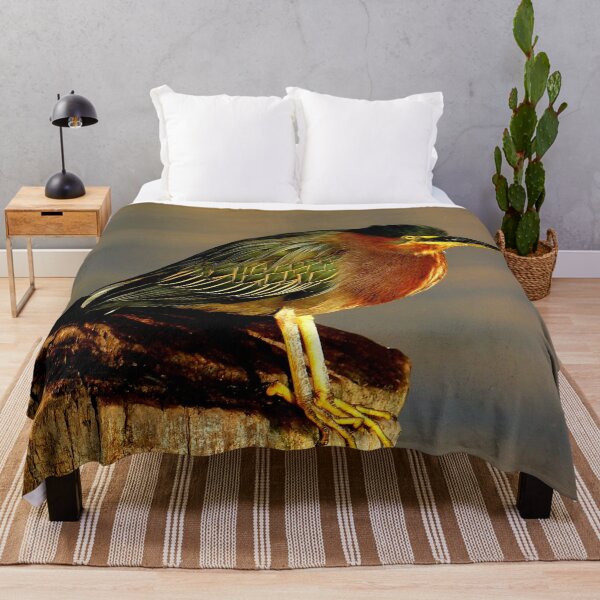Item preview, Guatemala - Lago Atitlan, bird designed and sold by franck380.