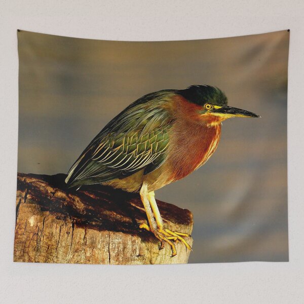 Item preview, Guatemala - Lago Atitlan, bird designed and sold by franck380.