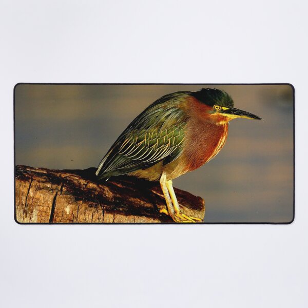 Item preview, Guatemala - Lago Atitlan, bird designed and sold by franck380.