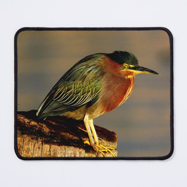 Item preview, Guatemala - Lago Atitlan, bird designed and sold by franck380.