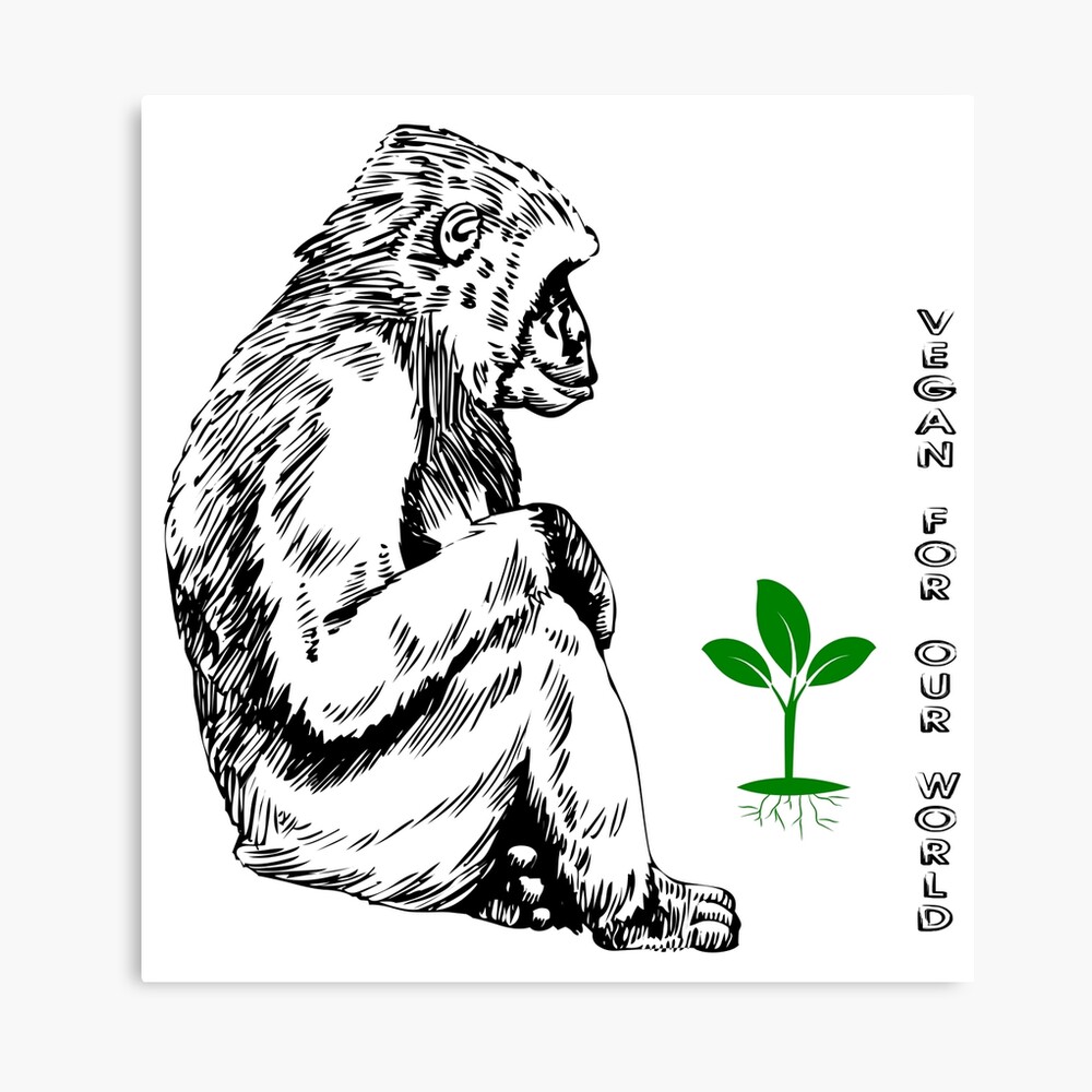Affe mit Pflanze Leinwanddruck