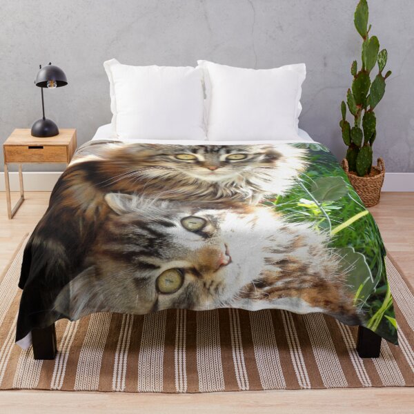 Item preview, ANIMALS #101 - Adorable Fluffy Twin Tiger-striped Kittens Relaxing designed and sold by DEL-Productions.