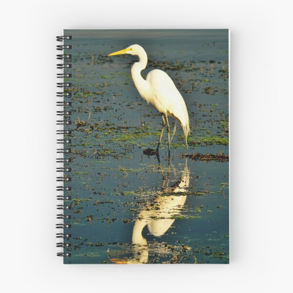 Item preview, Guatemala - Lago Atitlan, bird designed and sold by franck380.