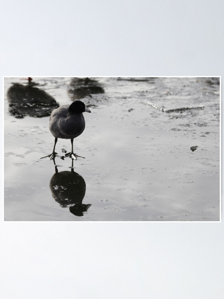 Thumbnail 1 of 3, Poster, Reflection2 designed and sold by couragesings.