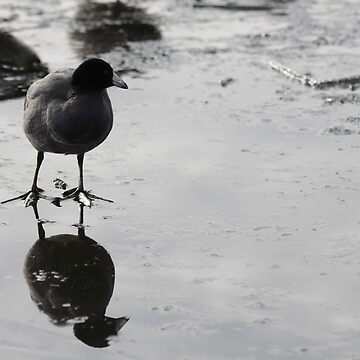 Artwork thumbnail, Reflection2 by couragesings