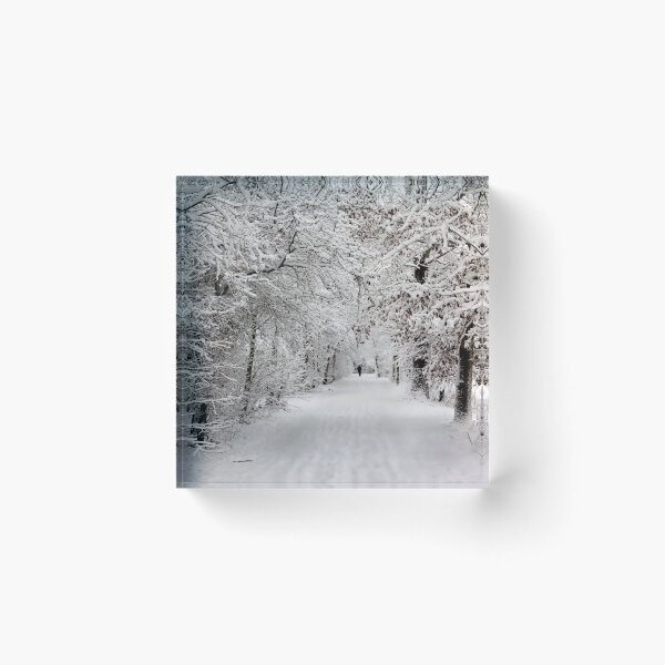 Item preview, Winter Walk in Fairytale designed and sold by AnnieSnel.