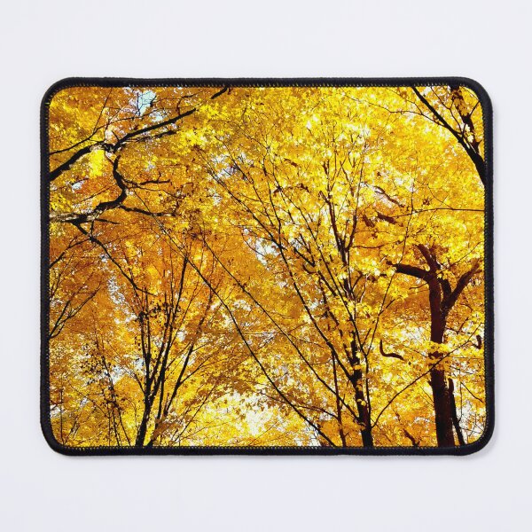 Item preview, Autumn Gold designed and sold by bjtomiko.