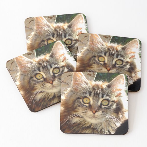 Item preview, ANIMALS #102 - Adorable Fluffy Tiger-striped Kitten with Intense Stare designed and sold by DEL-Productions.