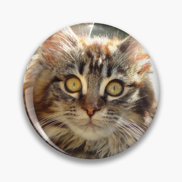 Item preview, ANIMALS #102 - Adorable Fluffy Tiger-striped Kitten with Intense Stare designed and sold by DEL-Productions.