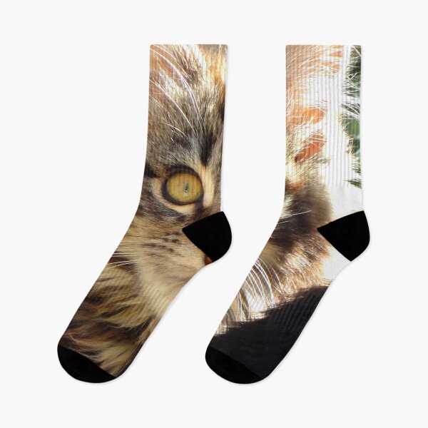 Item preview, ANIMALS #102 - Adorable Fluffy Tiger-striped Kitten with Intense Stare designed and sold by DEL-Productions.