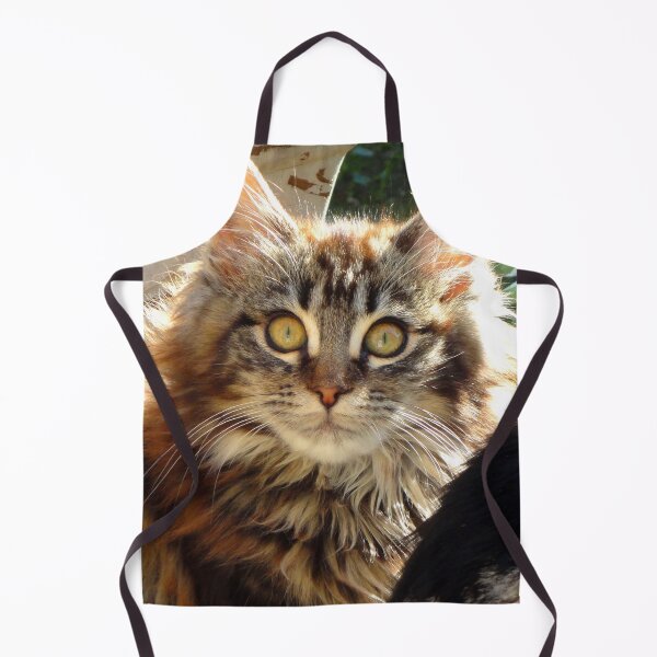 Item preview, ANIMALS #102 - Adorable Fluffy Tiger-striped Kitten with Intense Stare designed and sold by DEL-Productions.