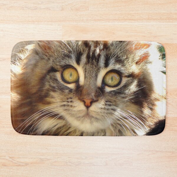 Item preview, ANIMALS #102 - Adorable Fluffy Tiger-striped Kitten with Intense Stare designed and sold by DEL-Productions.