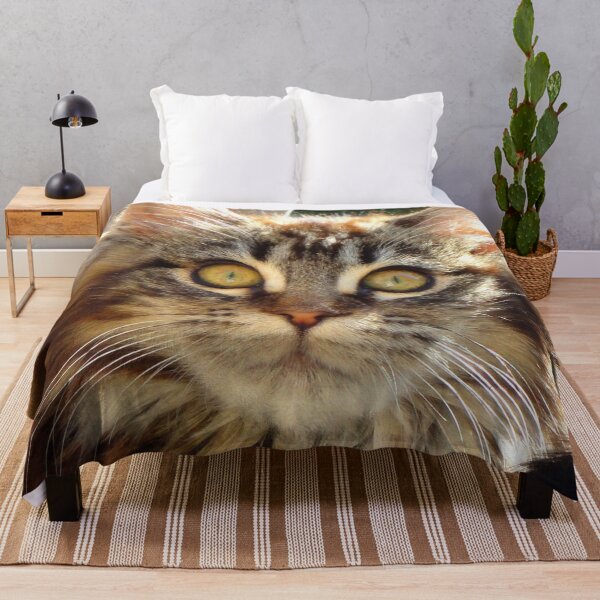 Item preview, ANIMALS #102 - Adorable Fluffy Tiger-striped Kitten with Intense Stare designed and sold by DEL-Productions.