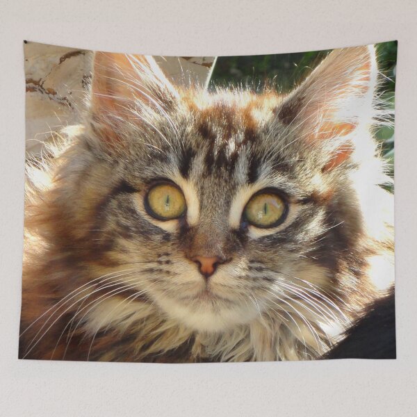 Item preview, ANIMALS #102 - Adorable Fluffy Tiger-striped Kitten with Intense Stare designed and sold by DEL-Productions.